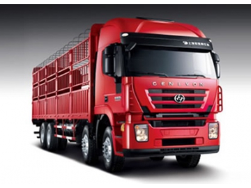 شاحنة نقل بضائع،  8×4  Euro IV Cargo Truck  (Kingkan)