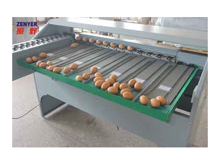 آلة فرز البيض 101A (4000 بيضة في الساعة)  Egg Grader