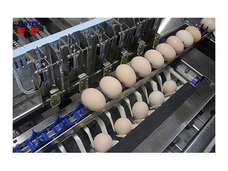 آلة فرز البيض 104A (10000 بيضة في الساعة) Egg Grader