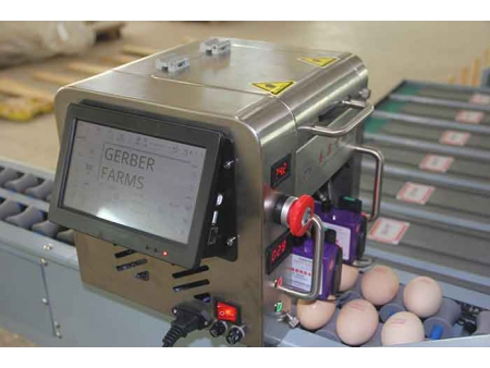 آلة فرز البيض 101B (4000 بيضة في الساعة) Egg Grader