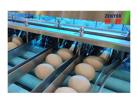 آلة فرز البيض 107 (20000 بيضة في الساعة) Egg Grader