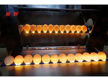 ماكينة غسل البيض 202B (10000 بيضة في الساعة) Egg Washer