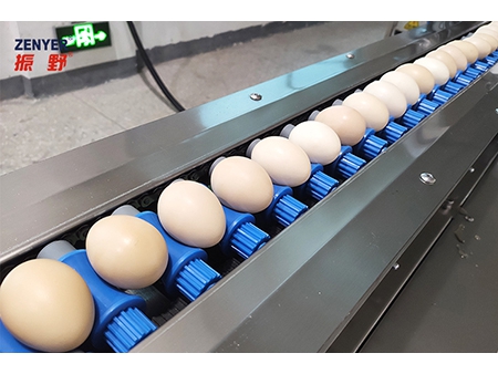 ماكينة غسل البيض 201A (5000 بيضة في الساعة) Egg Washer