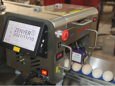 ماكينة الطباعة على البيض 401H Egg Printer
