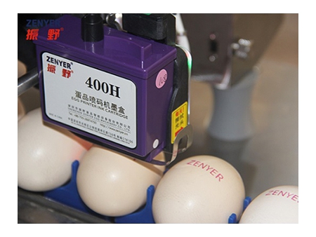 ماكينة الطباعة على البيض 401H Egg Printer