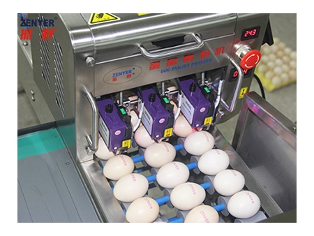 ماكينة الطباعة على البيض 403H Egg Printer
