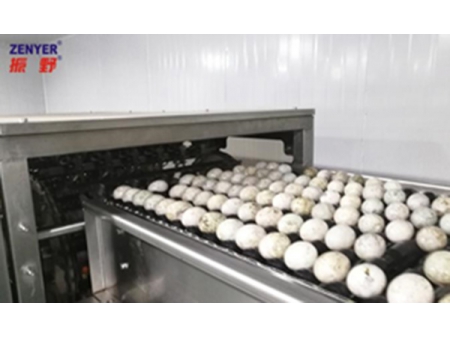 ماكينة فصل بيض البط المملح 502B Egg Separator