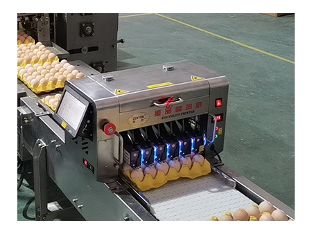 ماكينة تعبئة البيض 713A (27000 بيضة في الساعة) Egg Farm Packer