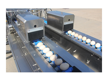 خط معالجة البيض 303B مع وظيفة التنظيف والفرز (20000 بيضة في الساعة) Egg Processing Line