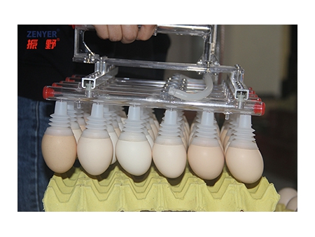 آلة مناولة البيض الفراغية 602 Vacuum Egg Lifter