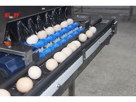 آلة تجميع البيض 605G Egg Accumulator