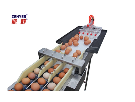 آلة تجميع البيض 604A Egg Accumulator