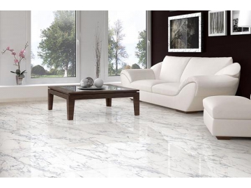 البلاط الرخامي New Bianco Carrara  (بلاط بورسلان أرضيات، بلاط داخلي وخارجي)