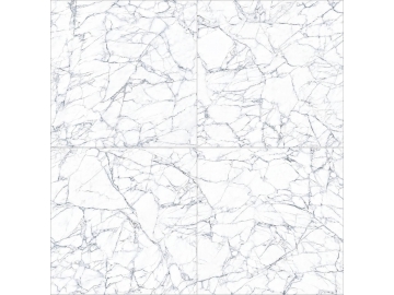 البلاط الرخامي White Carrara  (بلاط بورسلان جدران وأرضيات، بلاط داخلي وخارجي تجاري)
