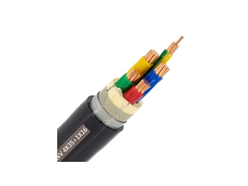 كابلات الجهد المنخفض المعزولة N2XBY من 0.6 إلى 1 ك.ف                     0.6/1 kV N2XBY Cable (CU/XLPE/STA/PVC)