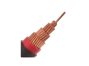 كابلات الجهد المنخفض المعزولة N2XY من 0.6 إلى 1 ك.ف                     0.6/1 kV N2XY Cable (CU/XLPE/PVC)