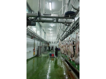 مسلخ تجهيز لحم الضأن لسلسة مطاعم HaiDiLao Hotpot  Lamb Processing Plant