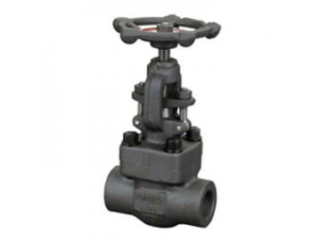 الصمام الكروي                         Globe Valve