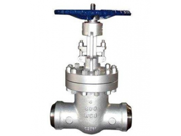 الصمام الكروي                         Globe Valve