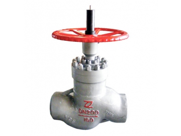 صمام كروي لتنظيم السريان                         Balanced Throttle Globe Valve