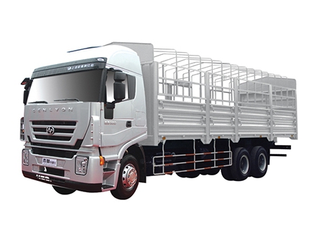 شاحنة البضائع Kingkan Euro III  6×4