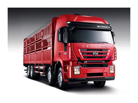 شاحنة نقل بضائع،  8×4  Euro IV Cargo Truck  (Kingkan)