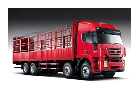 شاحنة نقل بضائع،  8×4  Euro IV Cargo Truck  (Kingkan)