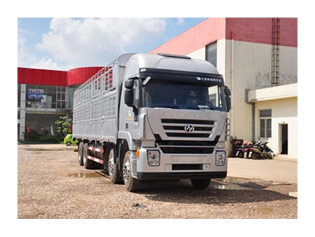 شاحنة نقل بضائع،  8×4  Euro IV Cargo Truck  (Kingkan)