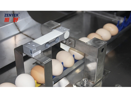 آلة فرز البيض 104B (10000 بيضة في الساعة) Egg Grader