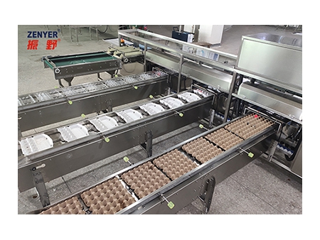 آلة فرز البيض 104A (10000 بيضة في الساعة) Egg Grader