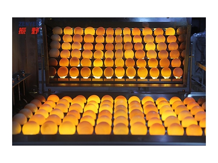 ماكينة غسل البيض 204A (30 ألف بيضة/ ساعة) 204A Egg Washer