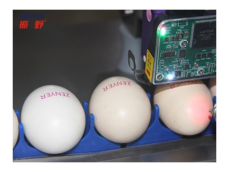 ماكينة الطباعة على البيض 401H Egg Printer