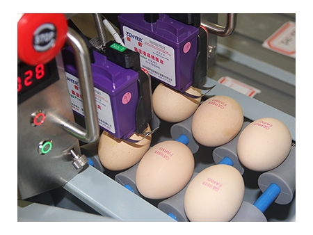 ماكينة الطباعة على البيض 402H Egg Printer