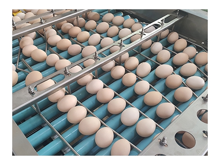 ماكينة تعبئة البيض 713A (27000 بيضة في الساعة) Egg Farm Packer