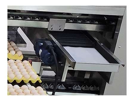 ماكينة تعبئة البيض 714 (55000 بيضة في الساعة) Egg Farm Packer