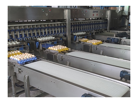 خط معالجة البيض 303B مع وظيفة التنظيف والفرز (20000 بيضة في الساعة) Egg Processing Line