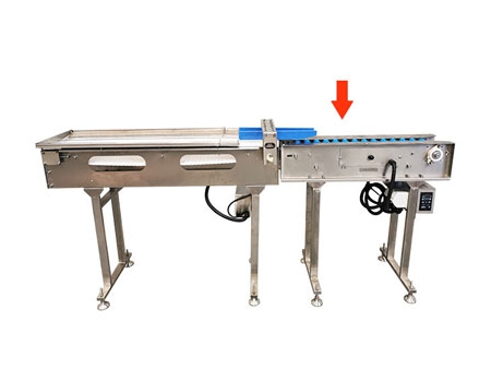 آلة تجميع البيض 604AS Egg Accumulator