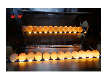 آلة تجميع البيض 604AS Egg Accumulator