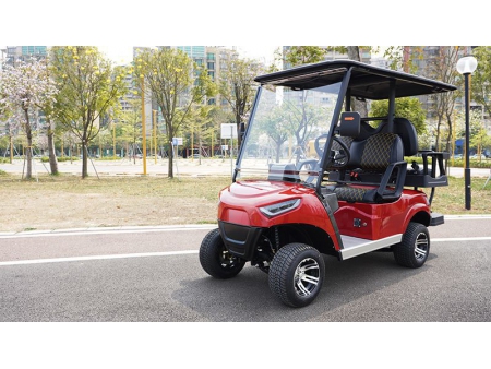 عربة الغولف الكهربائية  2 Passenger Electric Golf Cart