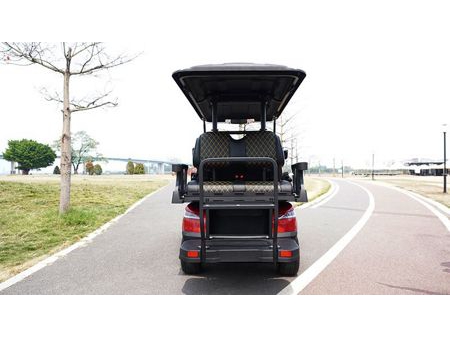 عربة الغولف الكهربائية  2 Passenger Electric Golf Cart