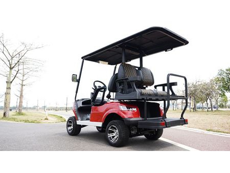 عربة الغولف الكهربائية  2 Passenger Electric Golf Cart