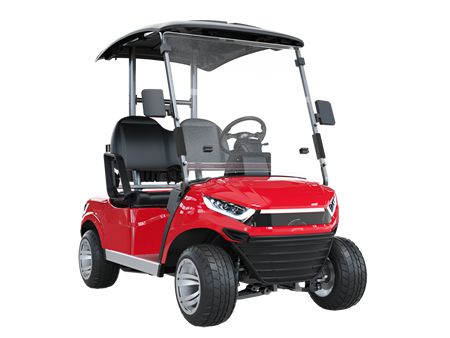 عربة الغولف الكهربائية  2 Passenger Electric Golf Cart