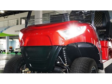عربة الغولف الكهربائية  2 Passenger Electric Golf Cart
