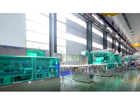 خط تعبئة وتغليف الكبسولات والأقراص الدوائية، سلسلة FS20 Tablet/Capsule Packaging Line