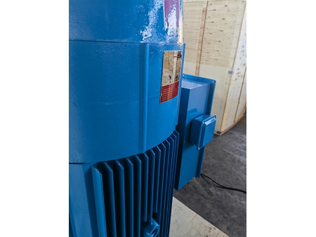 محرك مضخة الآبار العميقة متوافق مع مغير التردد (VFD) VFD Compatible Deep Well Pump Motor