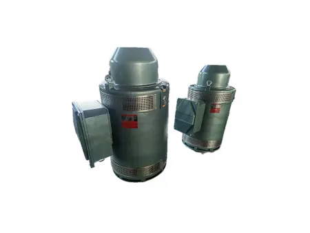 محرك مضخة الآبار العميقة متوافق مع مغير التردد (VFD) VFD Compatible Deep Well Pump Motor