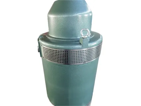 محرك مضخة الآبار العميقة متوافق مع مغير التردد (VFD) VFD Compatible Deep Well Pump Motor