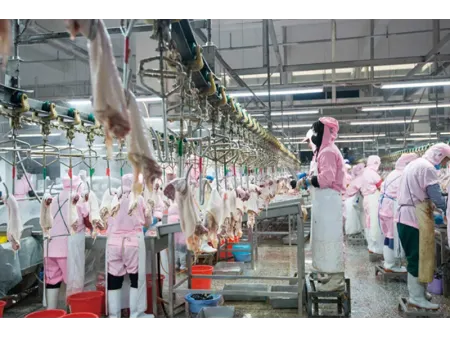 مبرد للمسالخ ومصانع تجهيز اللحوم والدواجن والأطعمة البحرية Red Water Chiller