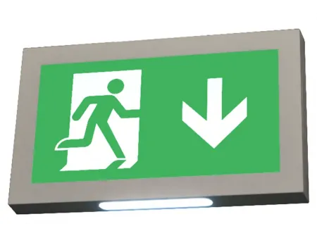 LE2915   لوحة خروج طوارئ LED بخيارات تثبيت متعددة وغلاف بلاستيكي