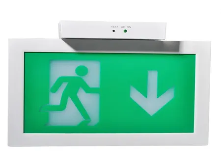 LE2915   لوحة خروج طوارئ LED بخيارات تثبيت متعددة وغلاف بلاستيكي